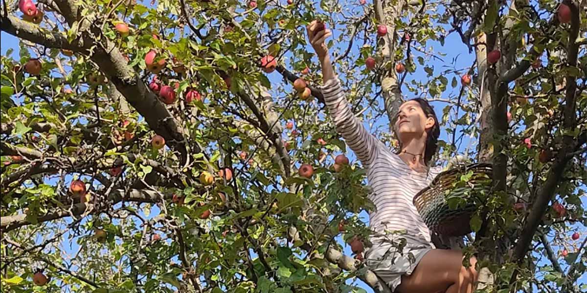 Dal restauro alla scoperta di varietà antiche di frutti e ortaggi
